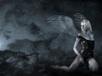 Angels - Demons